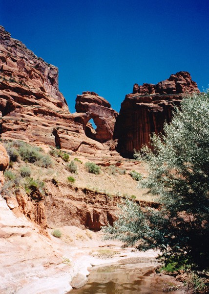 1997-06-Grand-Canyon-LMG-250