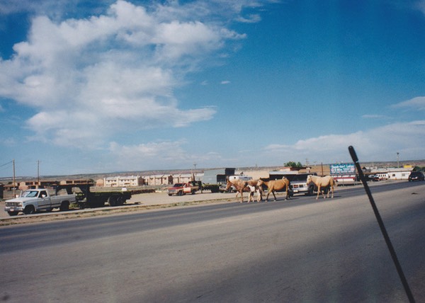 1997-06-Grand-Canyon-LMG-143