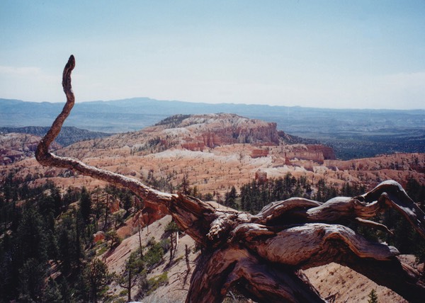 1997-06-Grand-Canyon-LMG-149