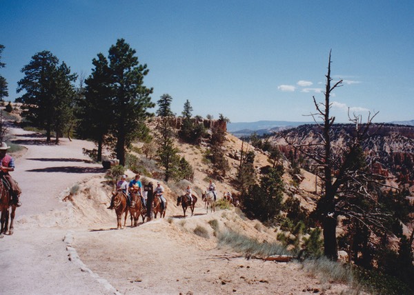 1997-06-Grand-Canyon-LMG-156