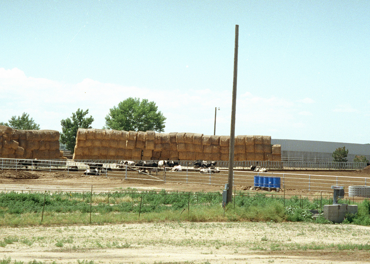 1997-06-Grand-Canyon-LMG-017