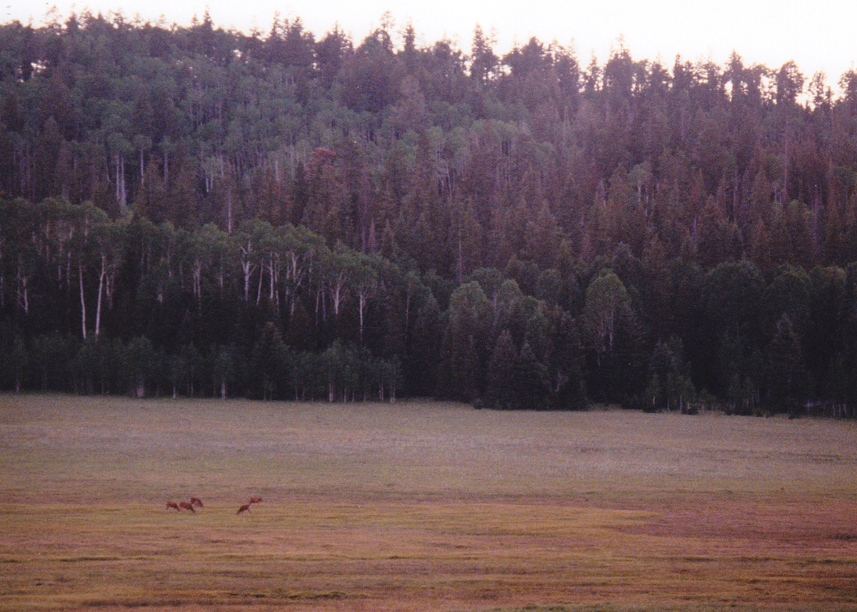 1997-06-Grand-Canyon-LMG-304