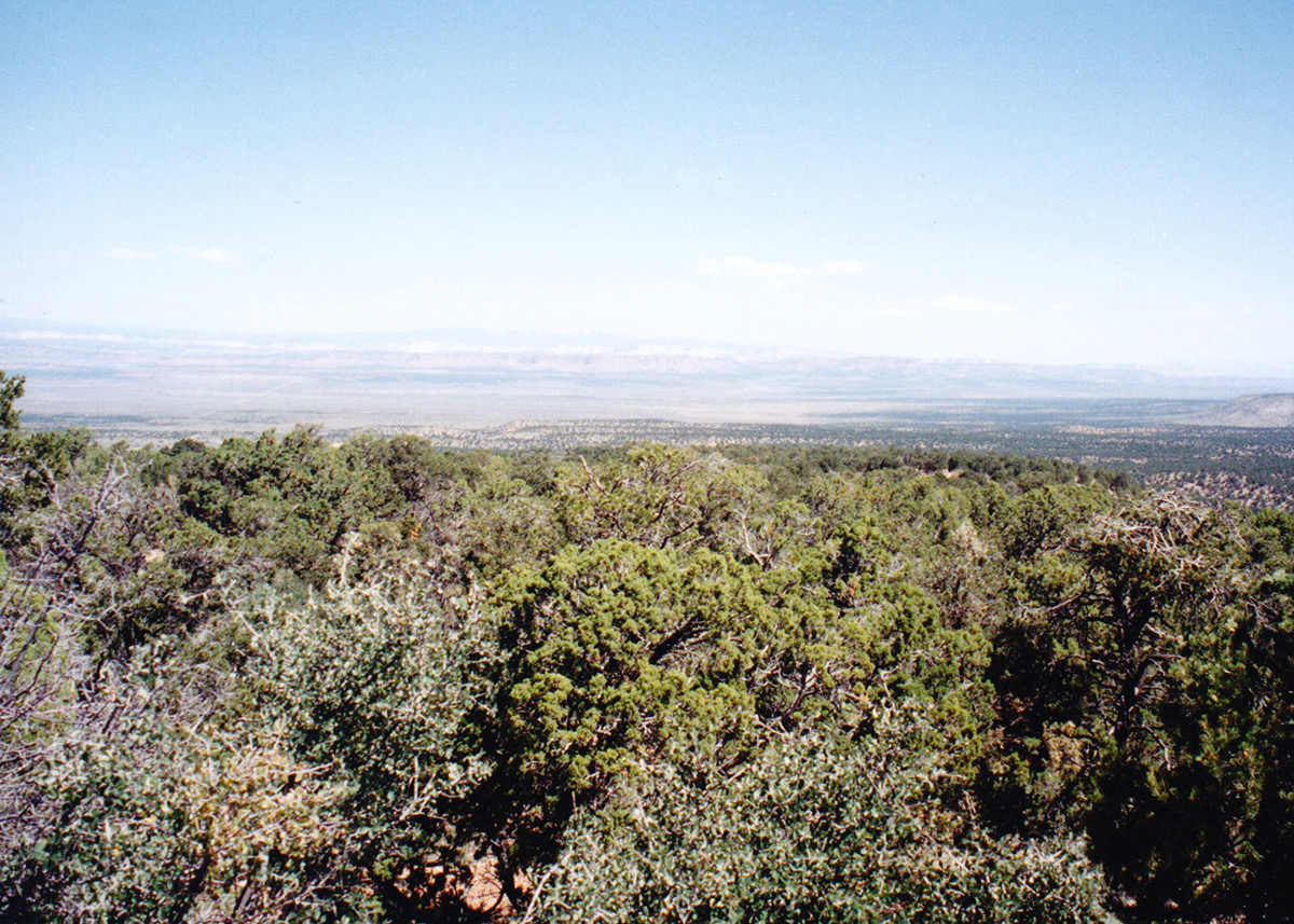 1997-06-Grand-Canyon-LMG-305