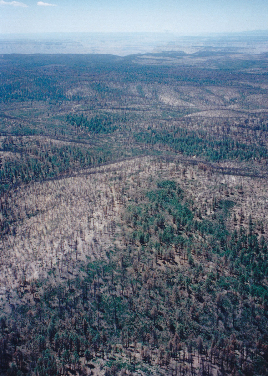 1997-06-Grand-Canyon-LMG-330