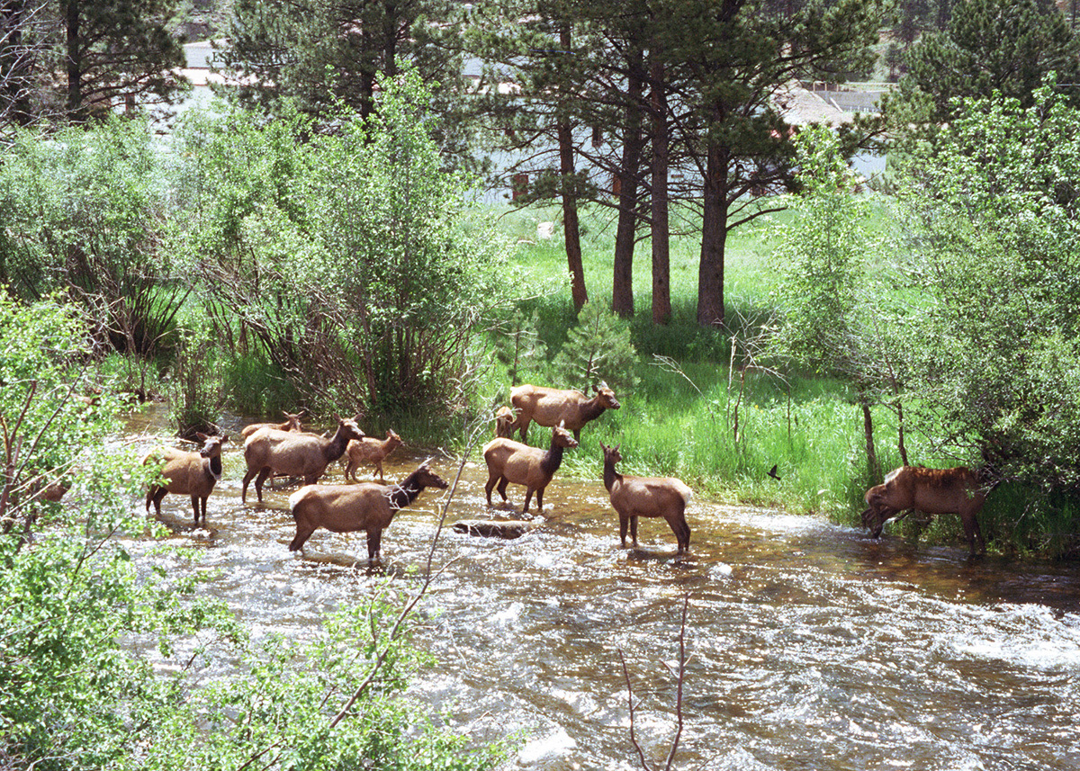 1997-06-Grand-Canyon-LMG-034