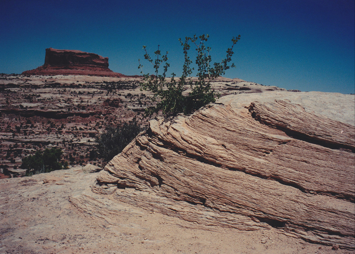 1997-06-Grand-Canyon-LMG-090